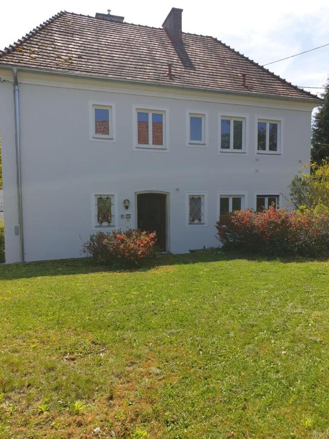 Family Apartment Linz Wohnen Mit Garten Am Fusse Des Poestlingbergs Top Lage Villenviertel Buitenkant foto