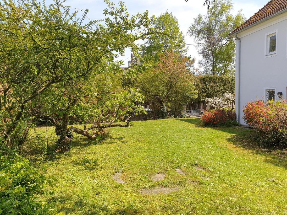 Family Apartment Linz Wohnen Mit Garten Am Fusse Des Poestlingbergs Top Lage Villenviertel Buitenkant foto