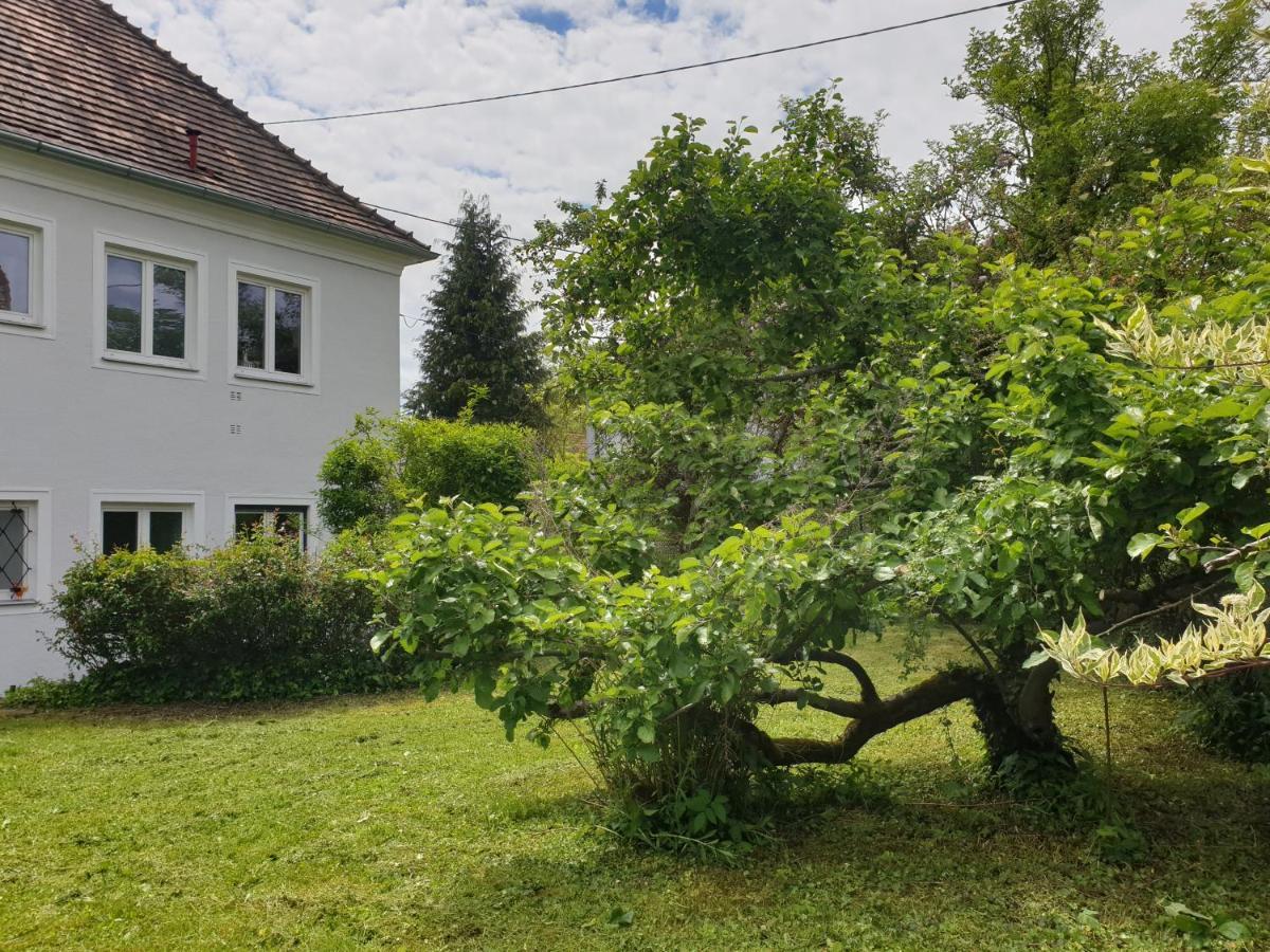 Family Apartment Linz Wohnen Mit Garten Am Fusse Des Poestlingbergs Top Lage Villenviertel Buitenkant foto