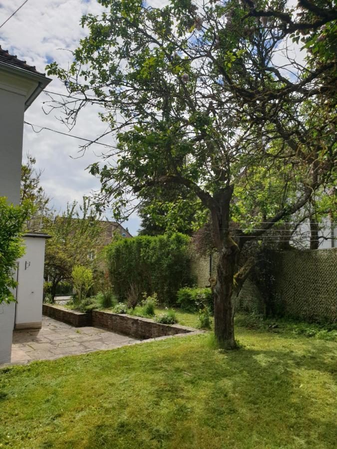 Family Apartment Linz Wohnen Mit Garten Am Fusse Des Poestlingbergs Top Lage Villenviertel Buitenkant foto