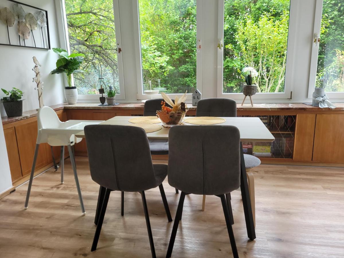 Family Apartment Linz Wohnen Mit Garten Am Fusse Des Poestlingbergs Top Lage Villenviertel Buitenkant foto