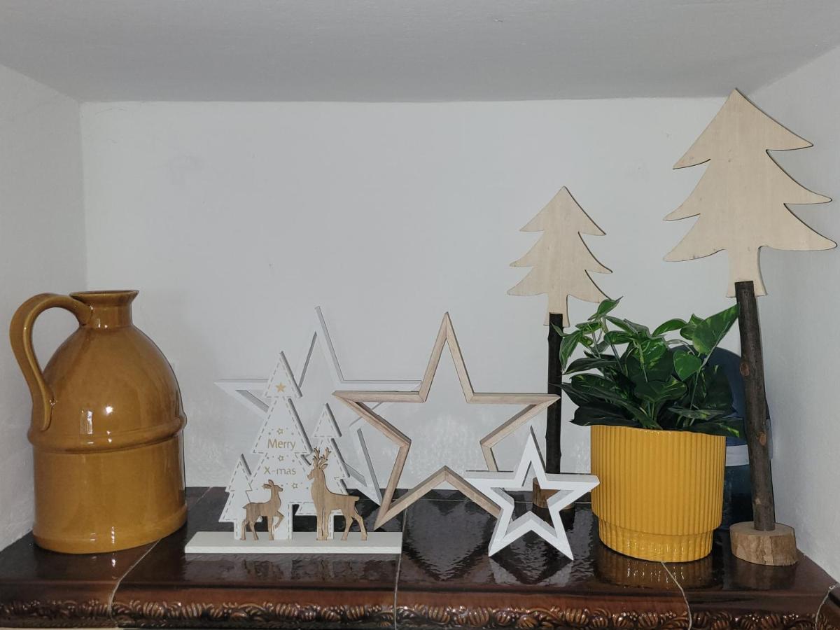 Family Apartment Linz Wohnen Mit Garten Am Fusse Des Poestlingbergs Top Lage Villenviertel Buitenkant foto